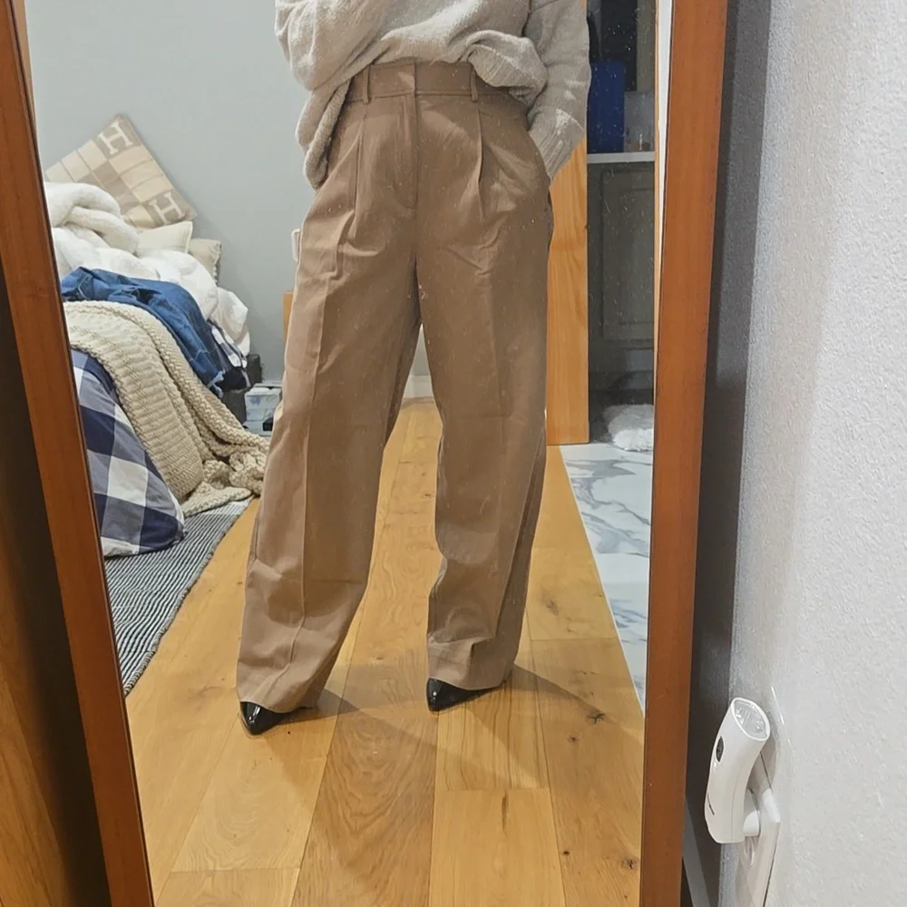 Everlane Wide Leg Pleated Pants, On Trend, Neutral, Size 6, Sophistication - Picture 4 of 7